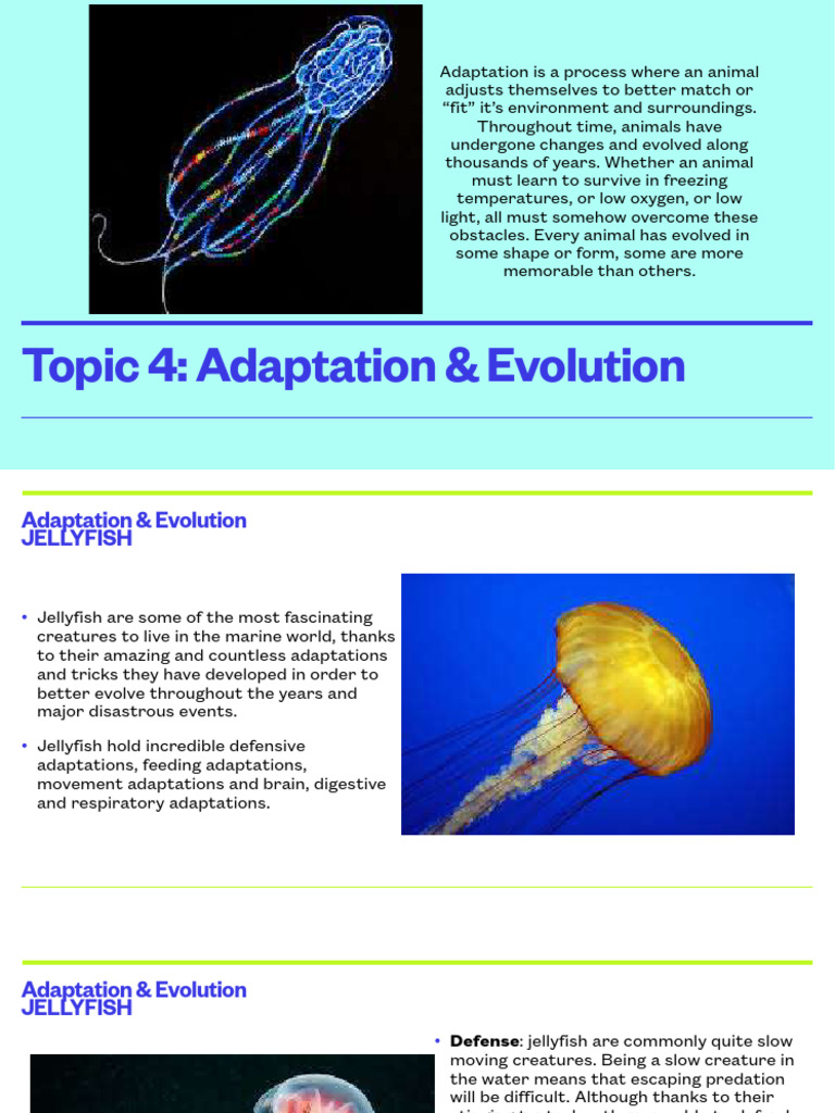 Lecture+4+ +Adaptations+&+Evolution | PDF | Predation
