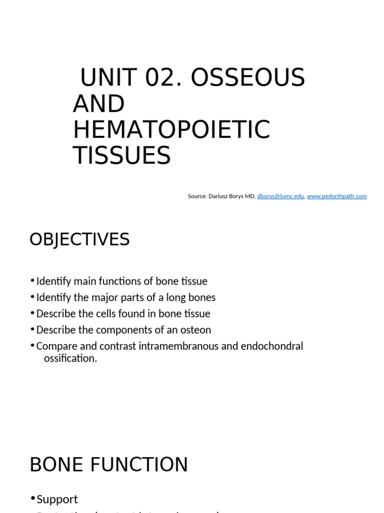 Bone and Hematopoietic Tissue Overview | PDF | Bone | Osteoblast