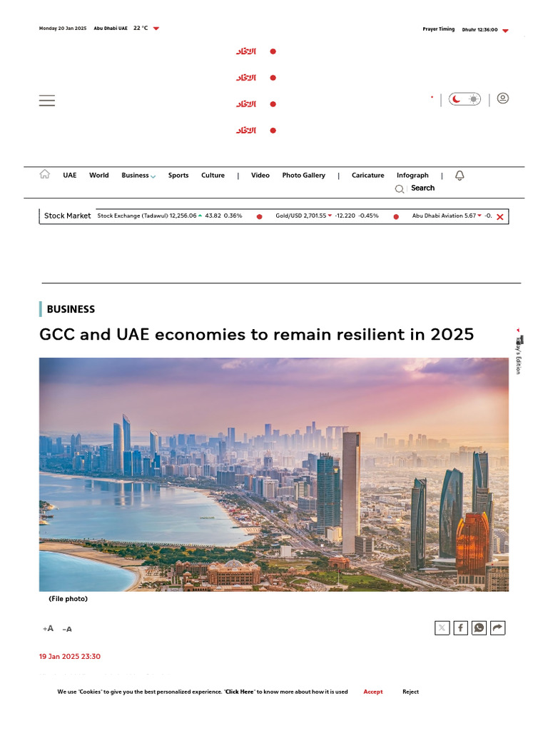 GCC and UAE Economies To Remain Resilient in 2025 - Aletihad News ...