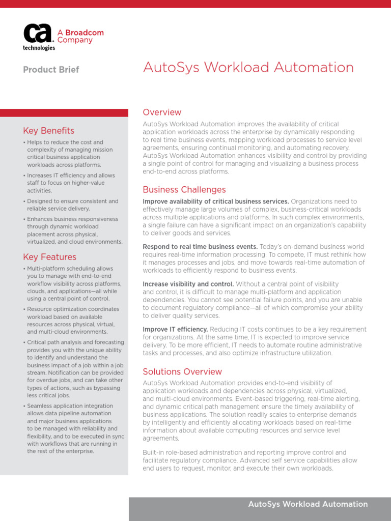DS - EN - AUT Workload Automation | PDF | Automation | Virtualization