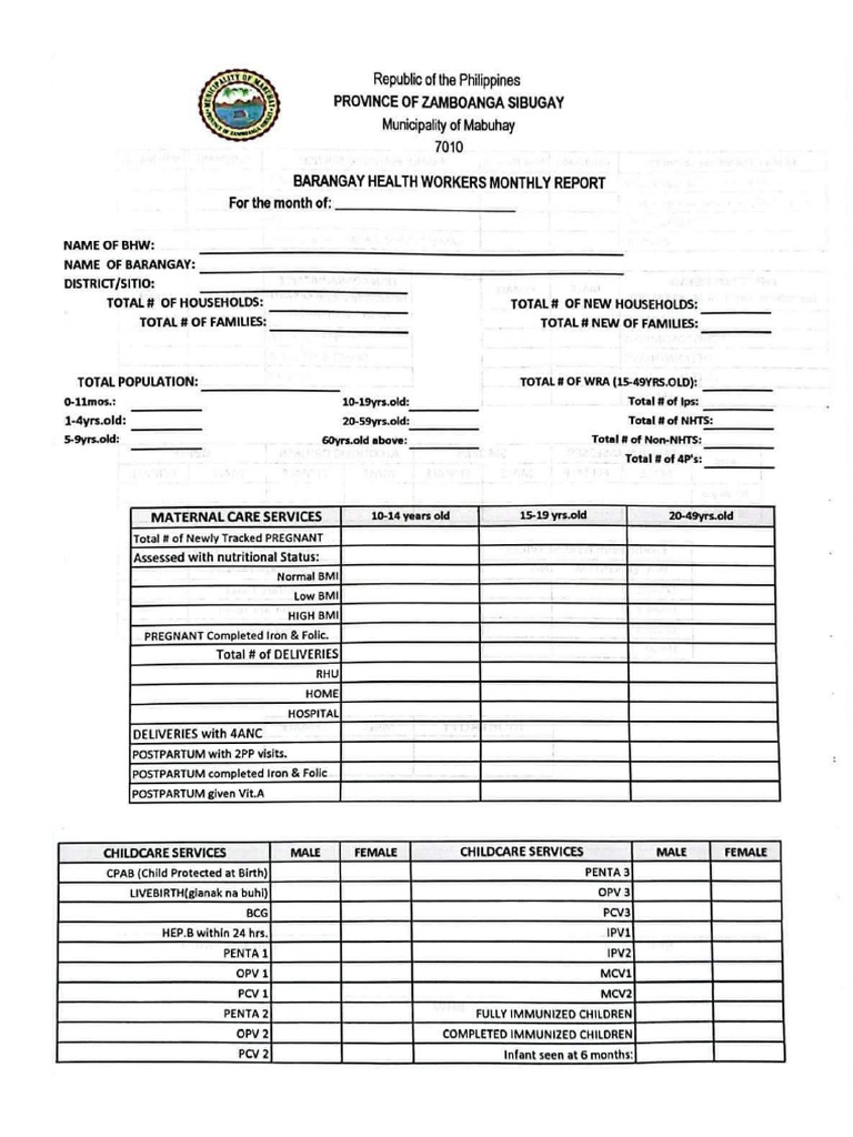 BHW Monthly Form | PDF