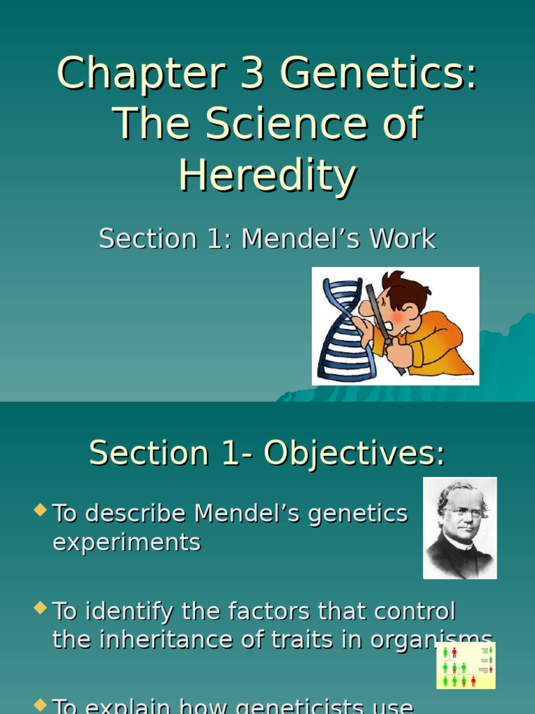 Genetics | PDF | Dominance (Genetics) | Genetics