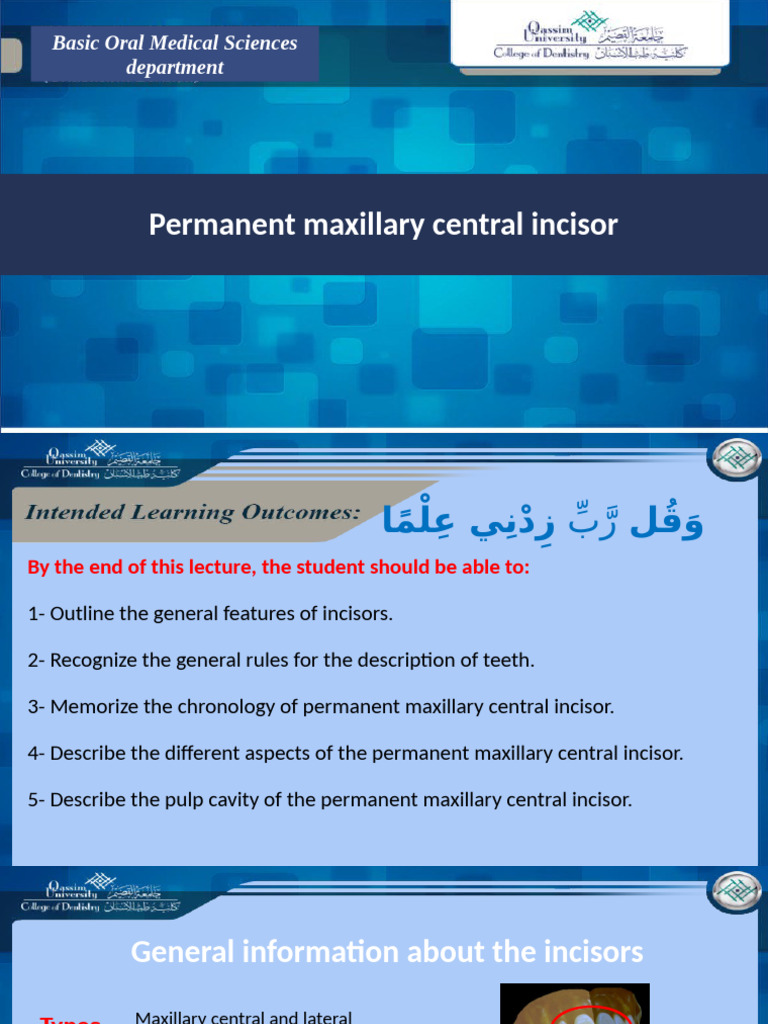 Maxillary Central Incisor Overview | PDF | Dental Anatomy | Dentistry
