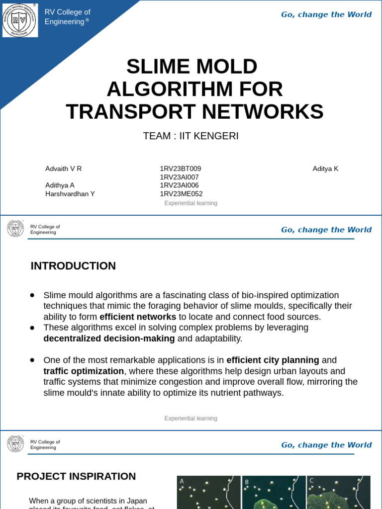 SLIME MOLD _ALGORITHM | PDF | Agent Based Model | Learning
