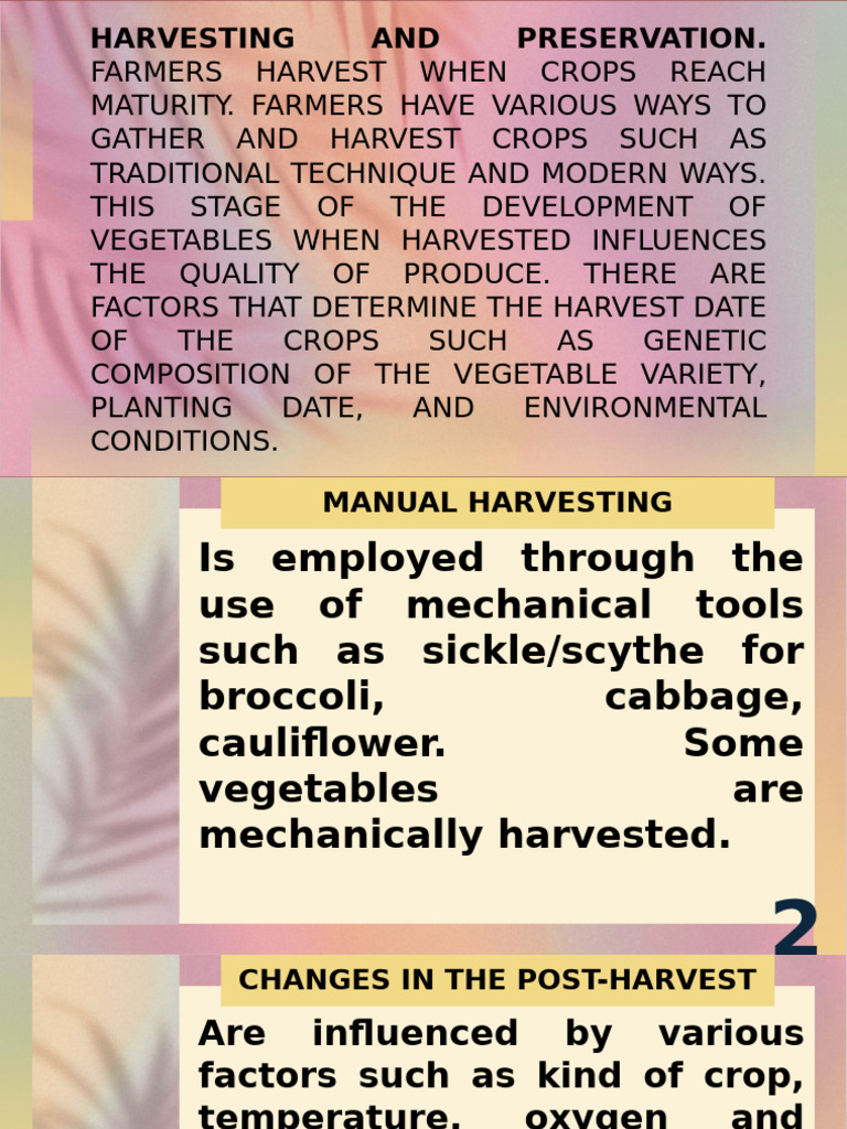 Crop Harvesting and Storage Techniques | PDF | Vegetables | Refrigeration