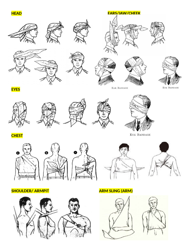 rotc_first_aid | PDF | Blood Pressure | Hypertension