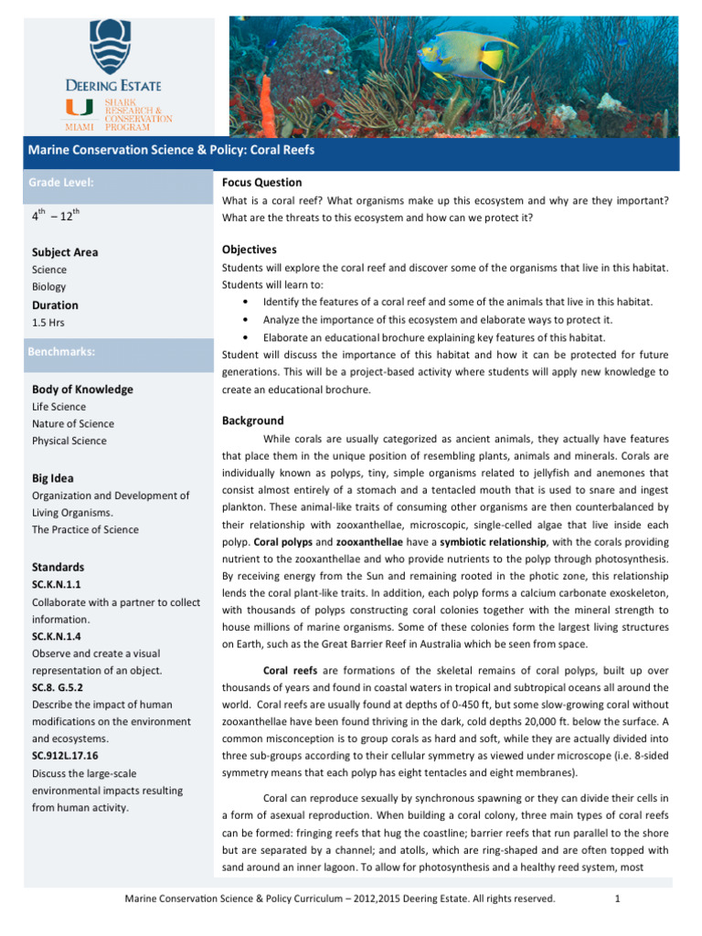 Coral Reef Ecosystem Exploration | PDF | Coral | Coral Reef