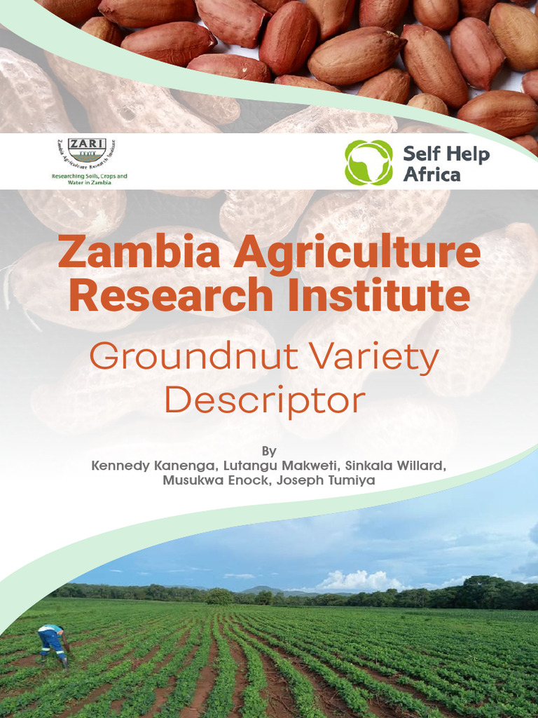 Groundnut Variety Descriptor for Zambia | PDF | Peanuts | Agriculture