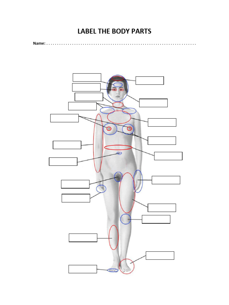 Label Body Parts | PDF
