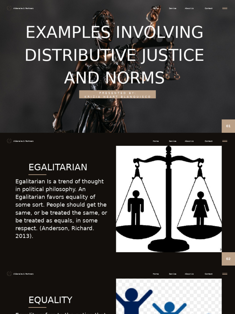 Distributive Justice Norms Explained | PDF