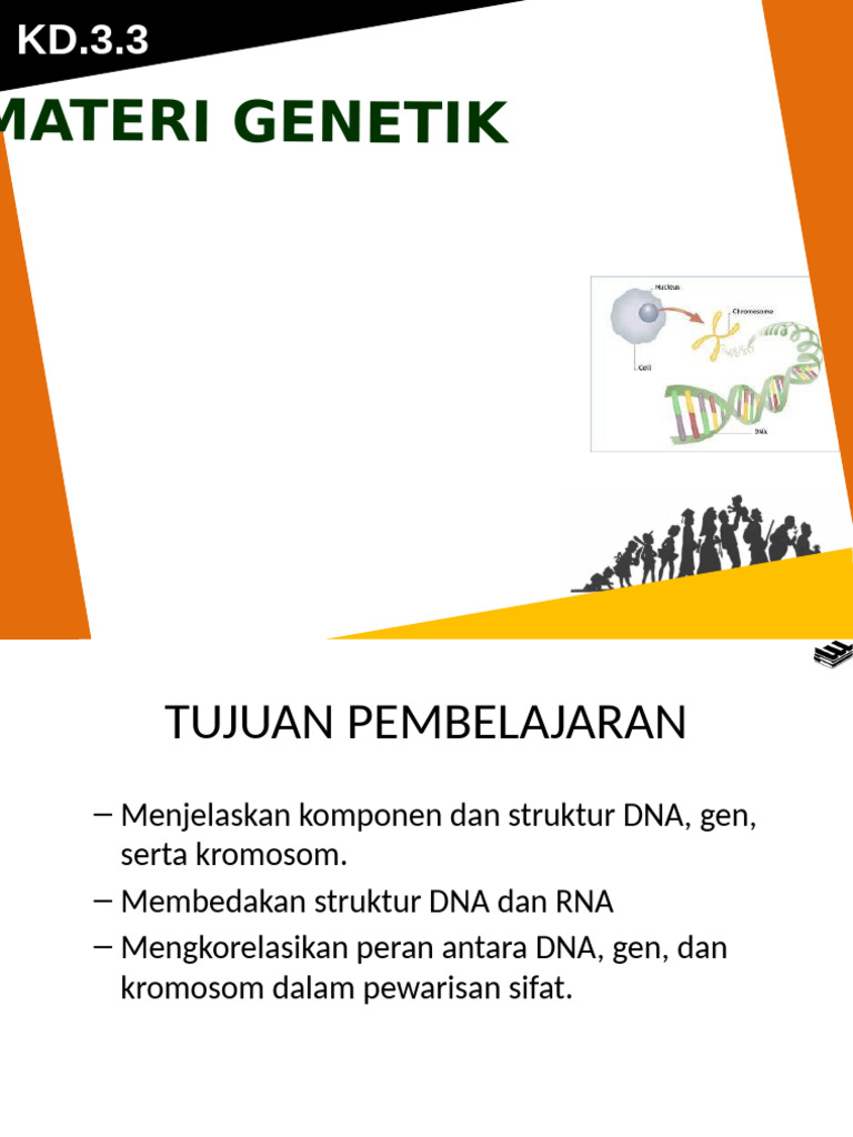 Dna - Rna - New | PDF