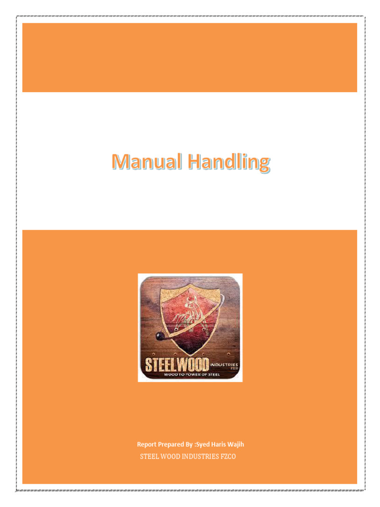 Manual Handling Safety Techniques Report | PDF