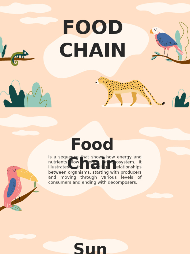 Food Chain Pptw Pdf