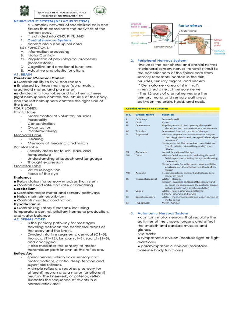 Neurologic System Health Assessment Guide | PDF | Central Nervous ...