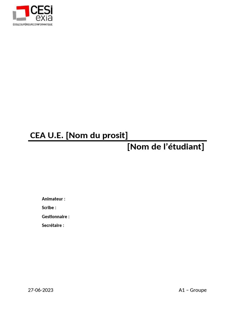 Modèle CER : Analyse et Plan d'Actions | PDF