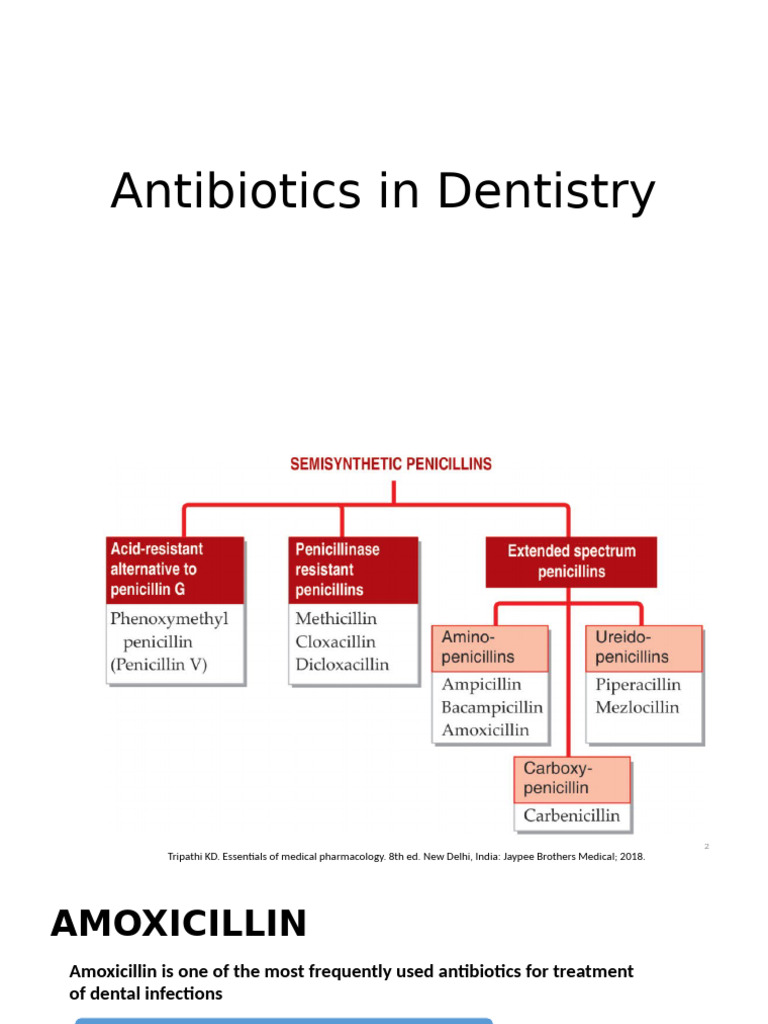Antibiotics for Dental Infections | PDF | Clinical Medicine | Medical ...