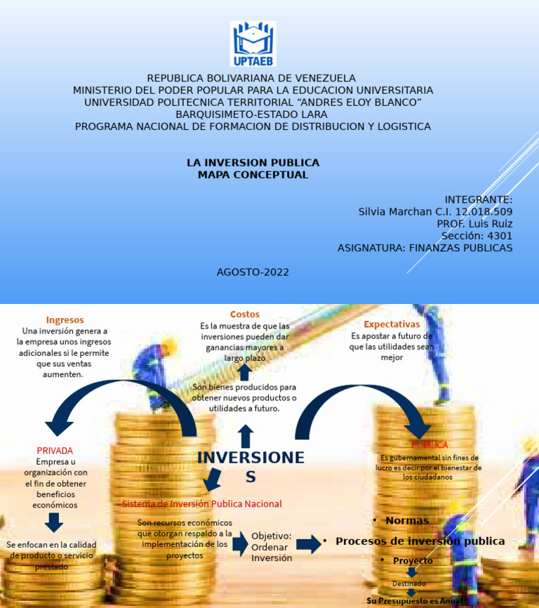 Inversión Pública y Privada en Finanzas | PDF | Inversiones | Business