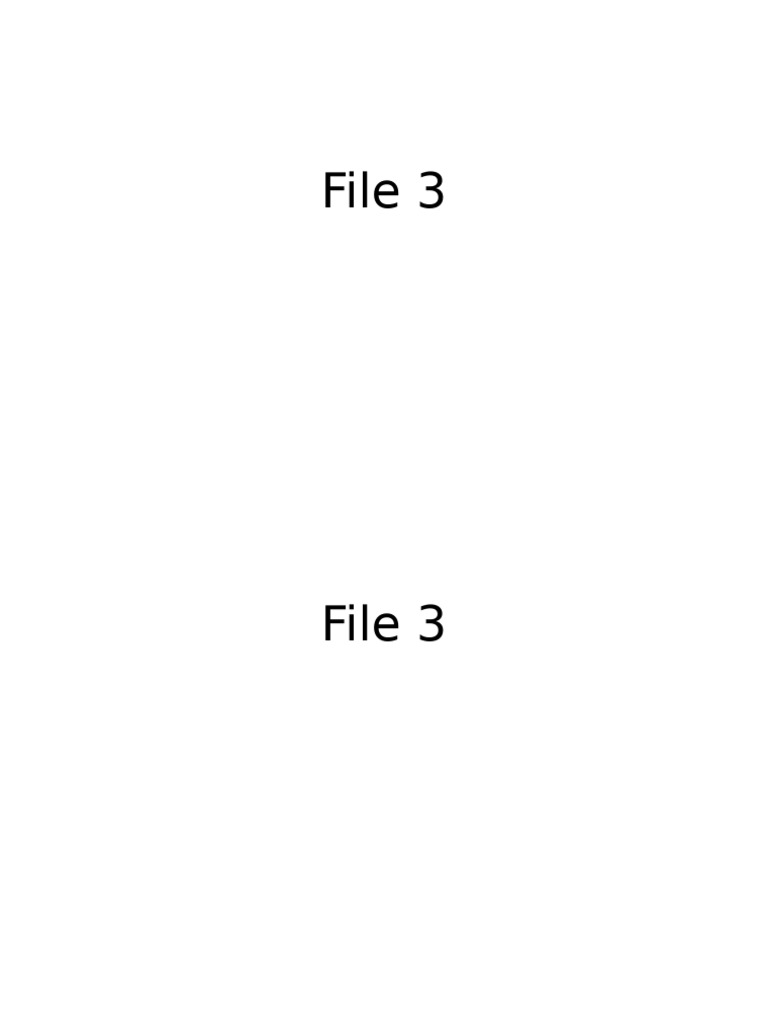 File 3 | PDF