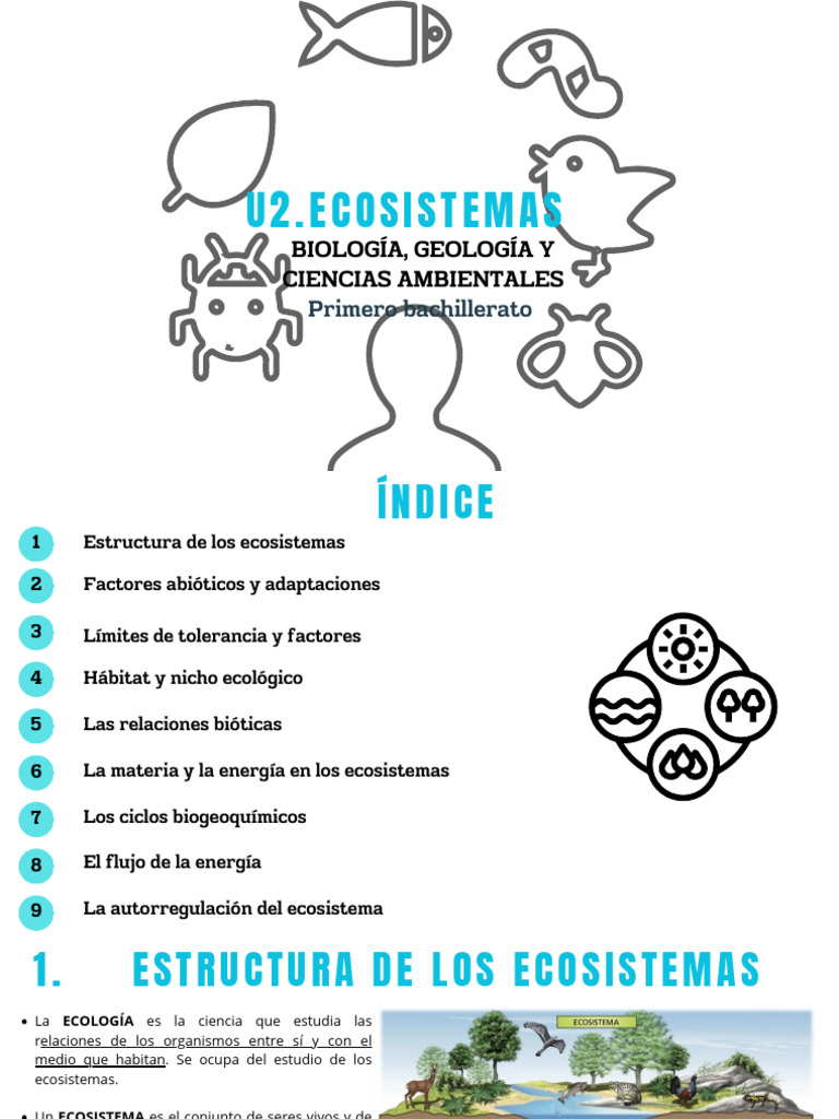 Estructura y Adaptaciones de Ecosistemas | PDF | Ecosistema | Ecología