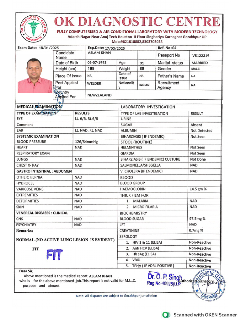 Aslam Khan: Welder Profile NZ | PDF