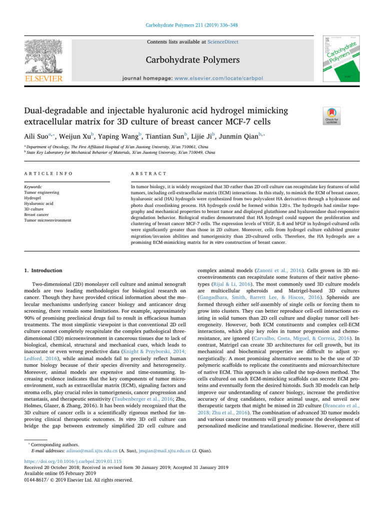 Example2 Hydrogel | PDF | Extracellular Matrix | Cell Culture