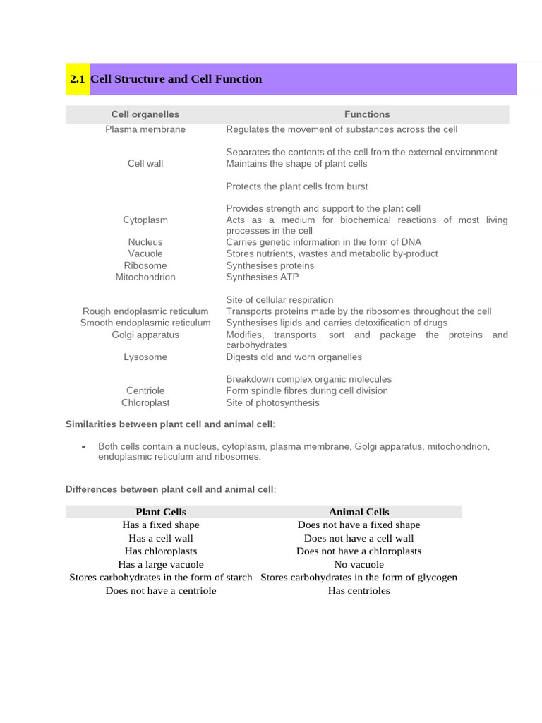 Biology Notes 2.0 (AutoRecovered) | PDF | Mitosis | Meiosis
