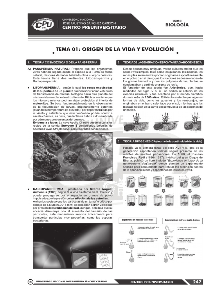 Origen de la Vida y Evolución en Biología | PDF | Evolución | Abiogénesis