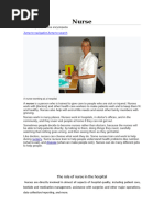 Safer Nursing Care Tool Implementation Guide | PDF | Nursing | National ...