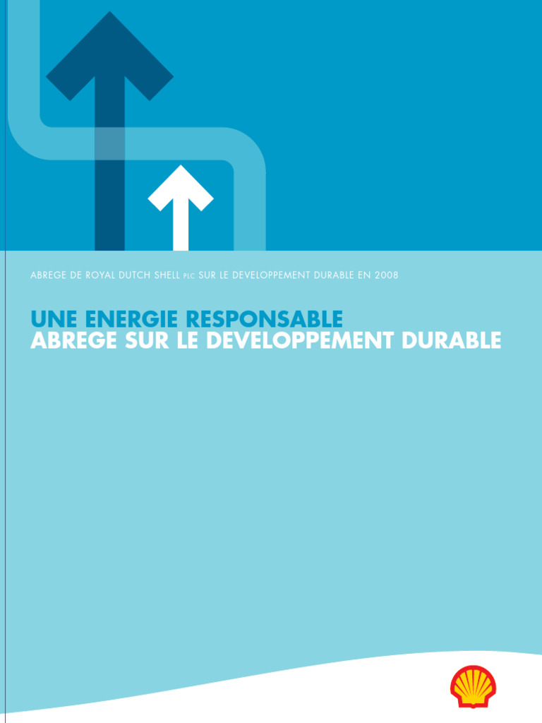 Rapport de durabilité Shell 2008 | PDF | Pétrole | Développement durable