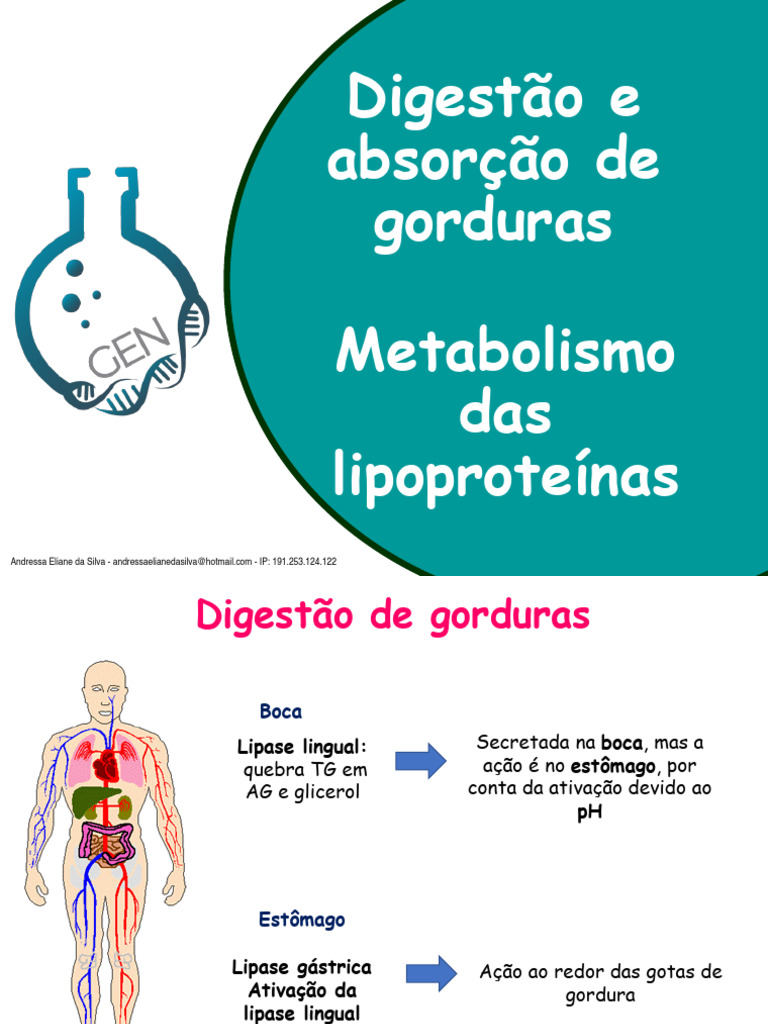 Digestão e Metabolismo de Gorduras | PDF | Colesterol | Digestão