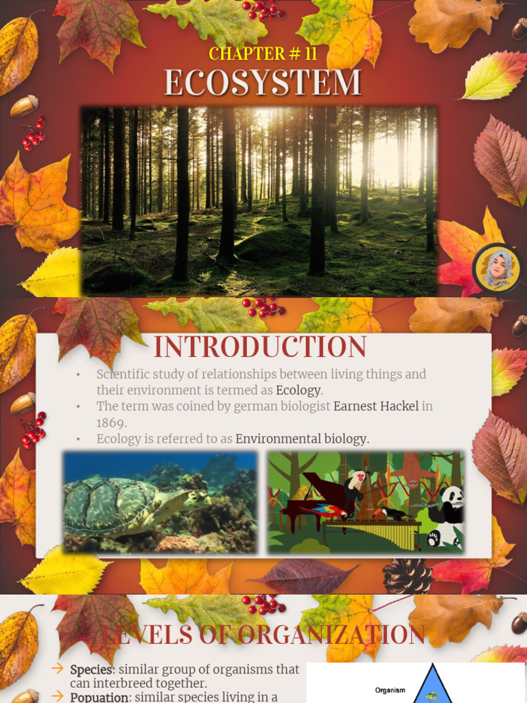 Ecosystem Chap 11 Xii Akueb | PDF | Ecosystem | Soil