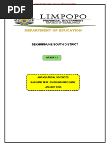 Grade 12 Baseline Marking Guideline 2025