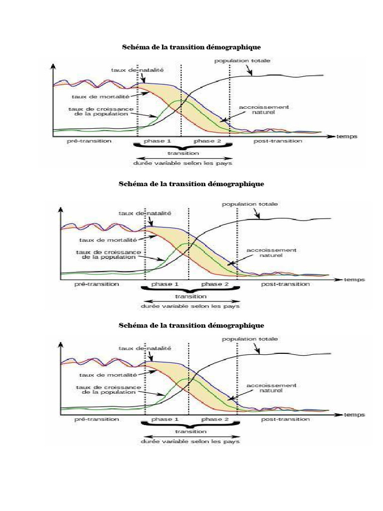 Transition Démographique Schéma | PDF