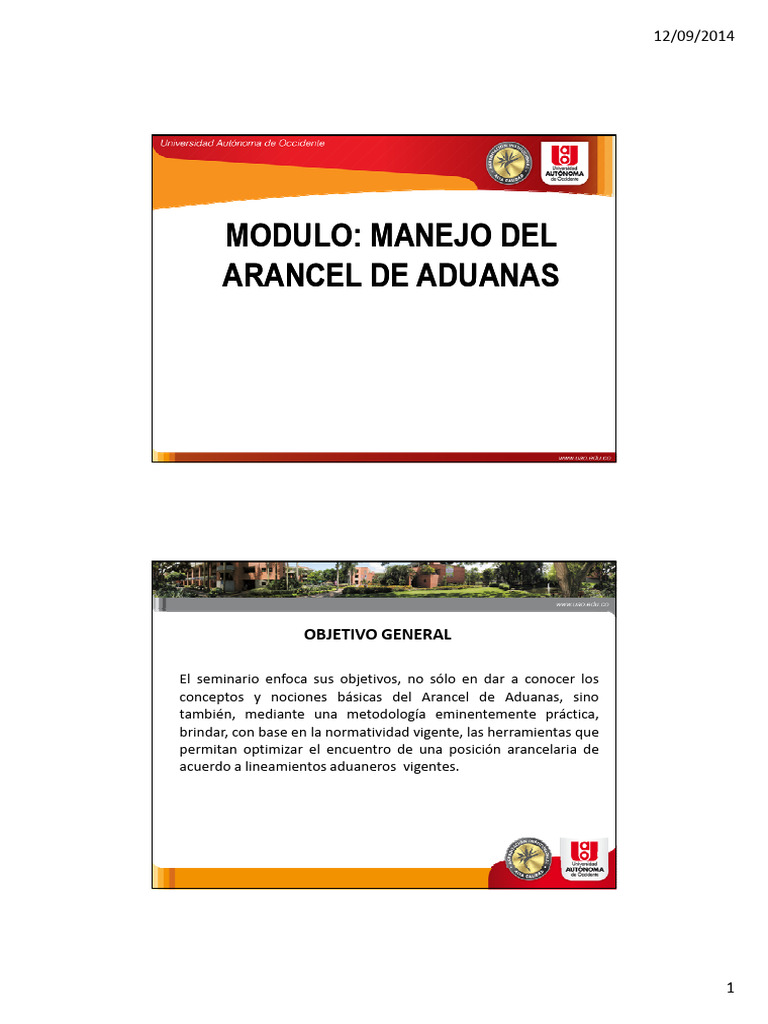 Guía Práctica del Arancel de Aduanas | PDF | aduana | Arancel
