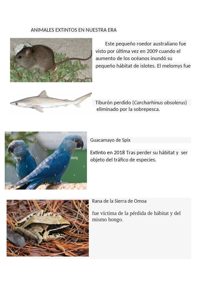 Animales Extintos en Nuestra Era | PDF