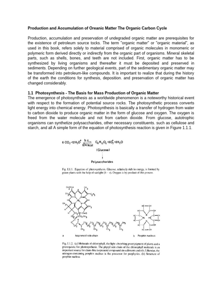 Production and Accumulation of Oreanic Matter The Organic Carbon Cycle ...
