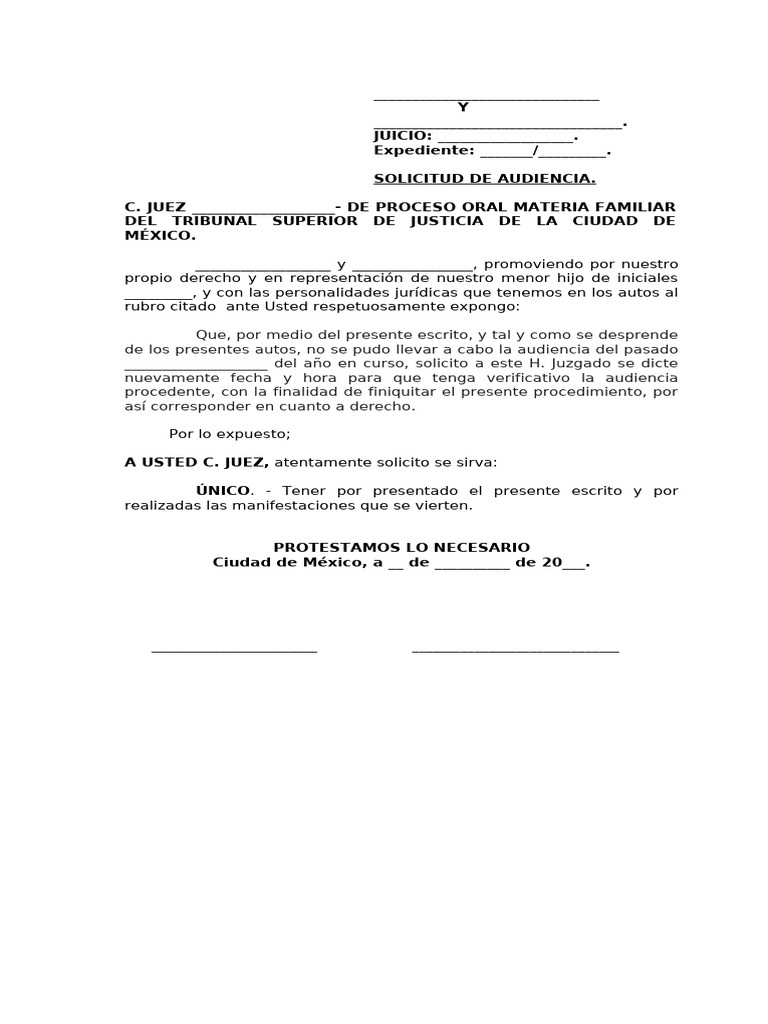 2 Solicitud De Audiencia Pdf
