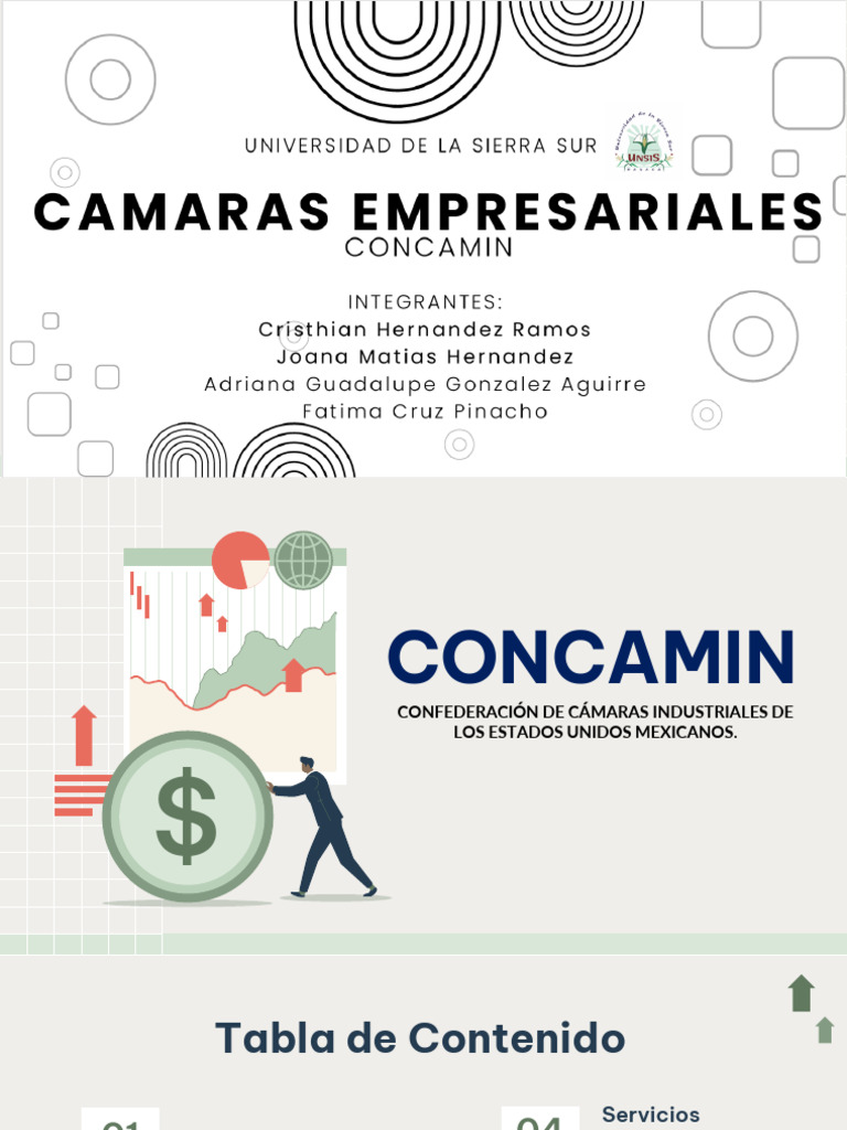 CONCAMIN: Representación Industrial en México | PDF | Business | México