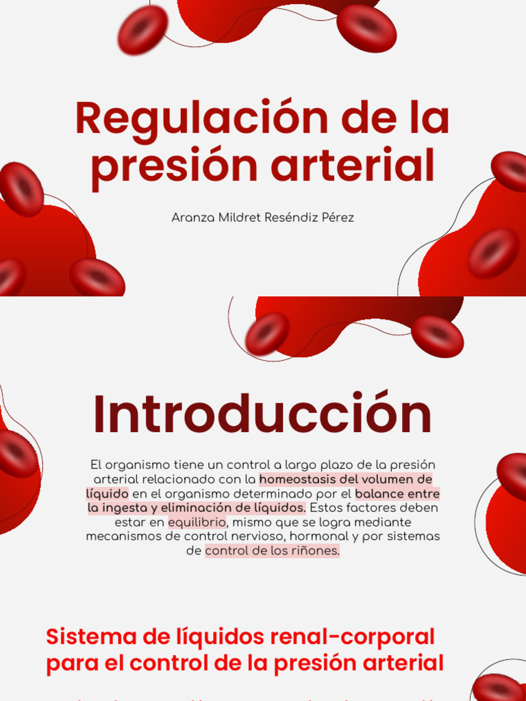 Regulación de La Presión Arterial | PDF | Angiotensina | Riñón