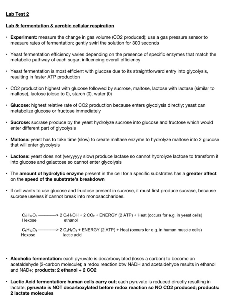 Lab test 2 notes | PDF | Cellular Respiration | Restriction Enzyme