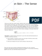 The Human Skin - The Sense of Touch: Receptors - Special Sensory Structures in Your Skin Ends (Terminal Branches of