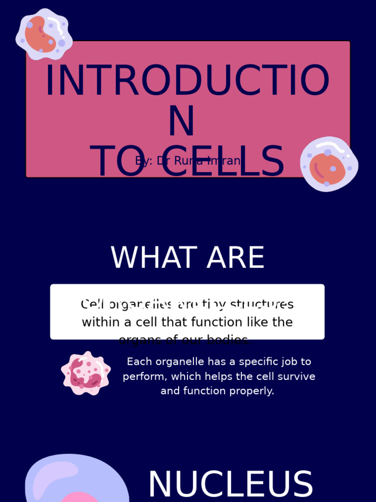 Overview of Cell Organelles and Functions | PDF