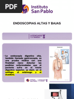 Procedimiento de Panendoscopia: Guía Completa | PDF | Medicina CLINICA ...