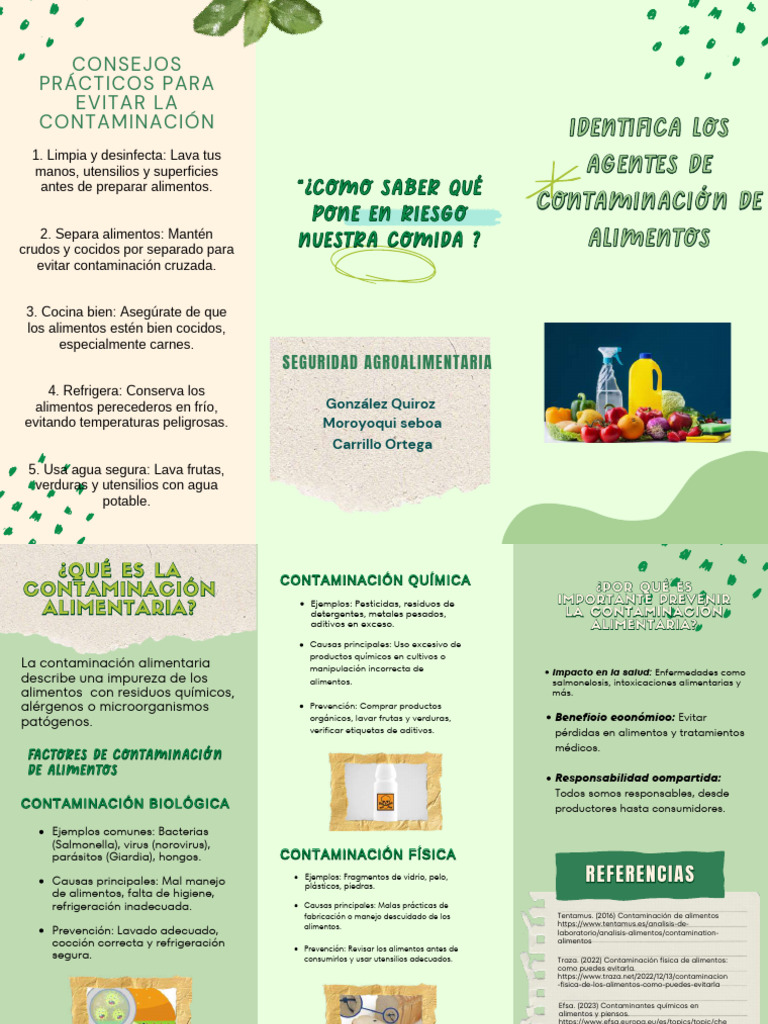 Agentes de Contaminación Alimentaria | PDF | Alimentos | Contaminación