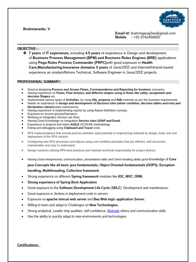 Brahma pega profile pdf java programming language eclipse