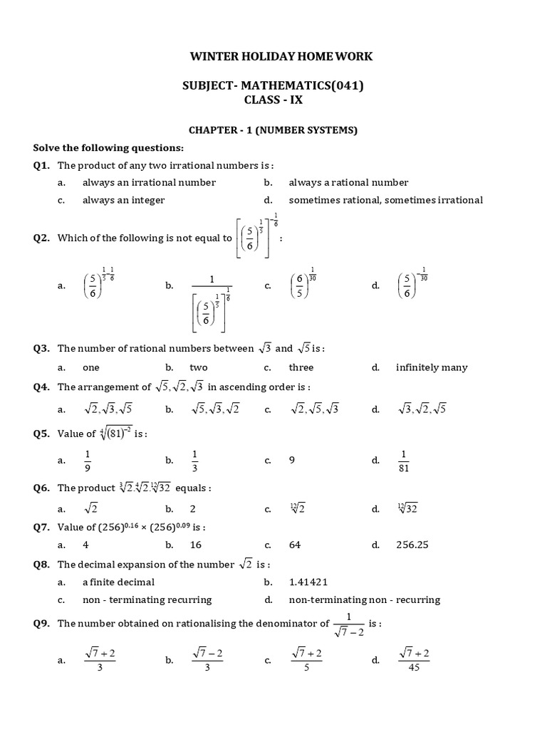 Maths IX HOLIDAY HOME WORK | PDF | Cartesian Coordinate System | Numbers