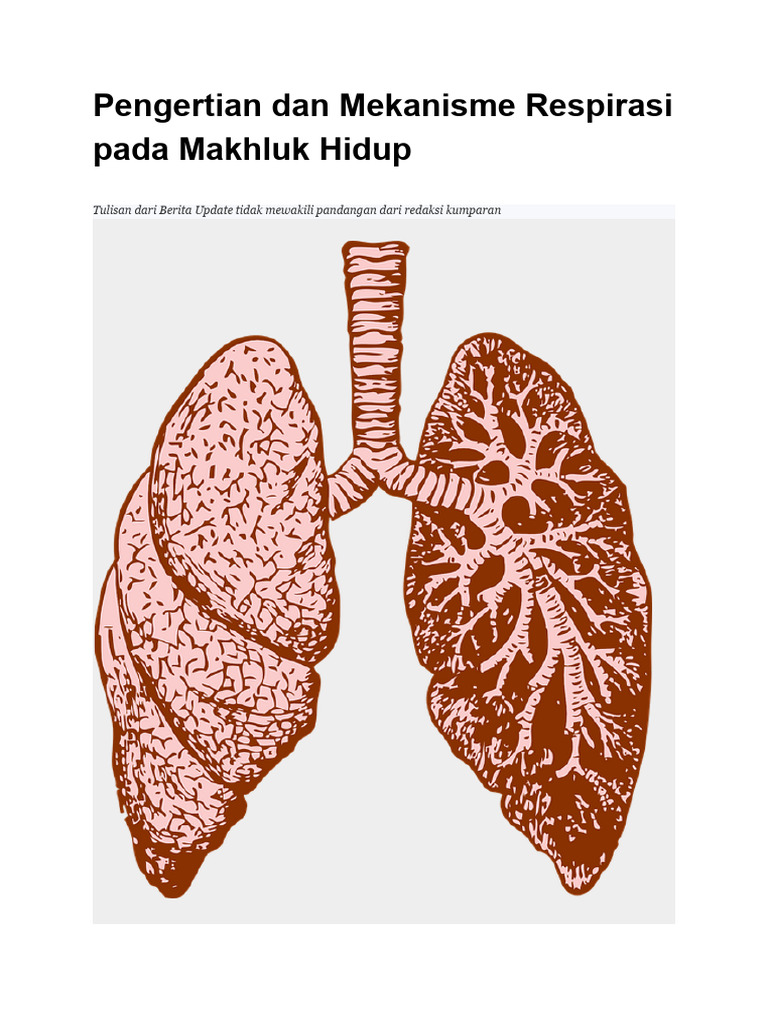 Pengertian Dan Mekanisme Respirasi Pada Makhluk Hidup PDF
