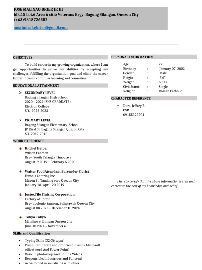 Career Objectives and Experience Summary | PDF