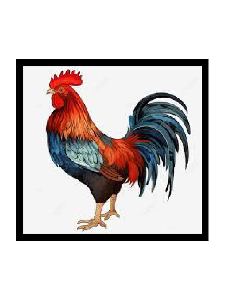 Describing Animals | PDF
