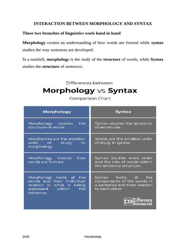 morphology...interaction between morphology and syntax | PDF ...